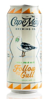 Cape May Follow The Gull 6pk Cn